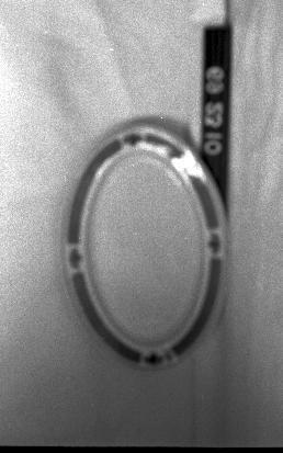 CBMM catalog image